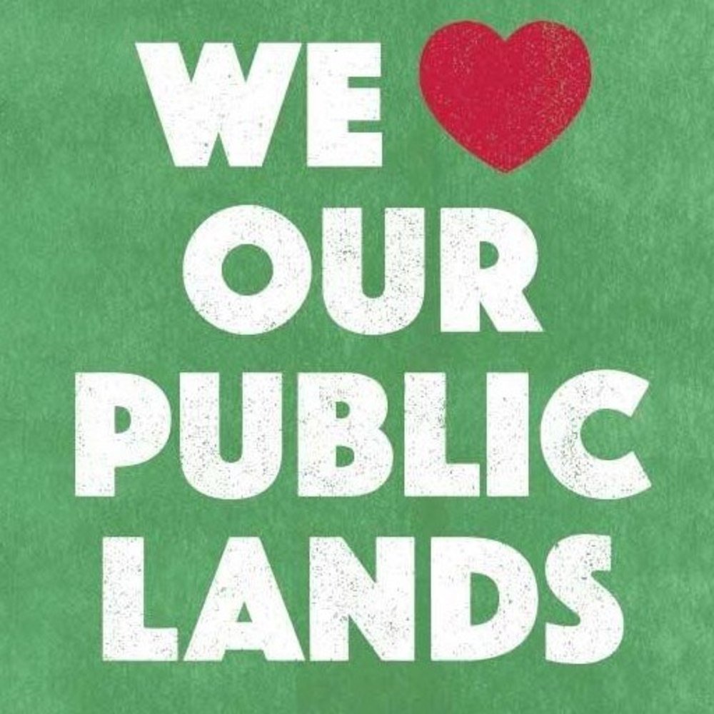 Meet your Posher, Scarlet